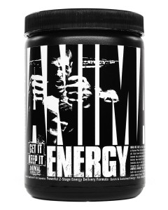 Animal Energy
