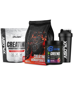 Pack Nutrition Creatine Monohydrate + FREE Gut, Gains & Brain Bundle